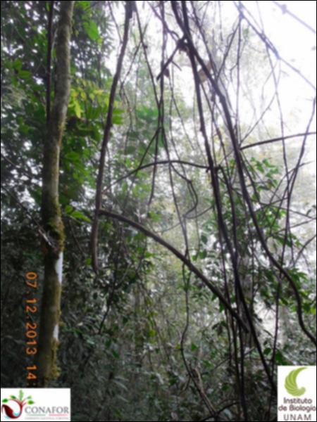 51593_S1_ARC_20131207_011_002.jpg.jpg