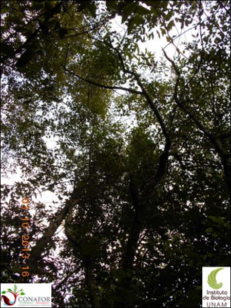 58111_S1_ARC_20131003_019_002.jpg.jpg