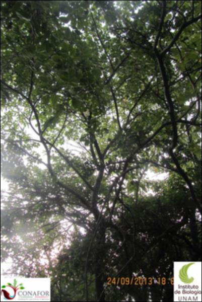 65792_S2_ARC_20130924_006_002.jpg.jpg