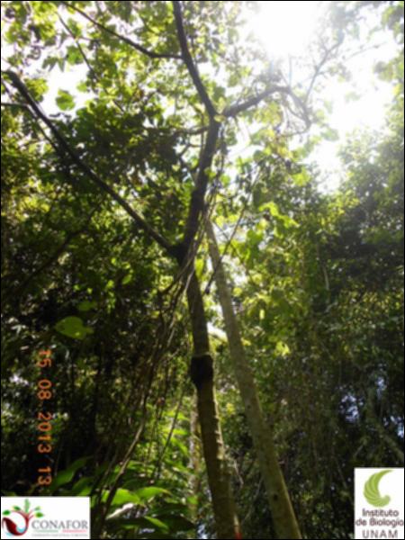 76944_S1_ARC_20130815_006_001.jpg.jpg