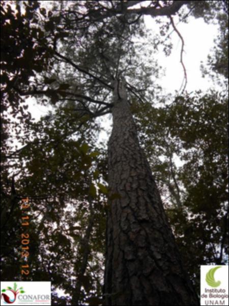 73326_S3_ARC_20131113_033_002.jpg.jpg