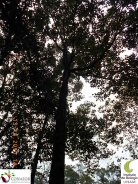 73326_S1_ARC_20131113_039_002.jpg.jpg