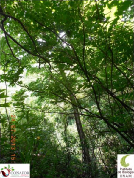 75129_S2_ARC_20130724_006_001.jpg.jpg