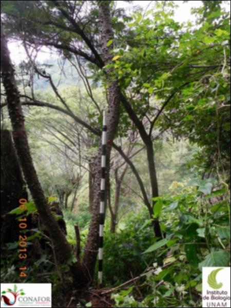 62592_S4_ARC_20131006_003_001.jpg.jpg