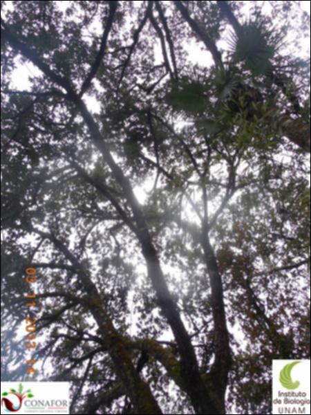 69511_S3_ARC_20131103_002_002.jpg.jpg