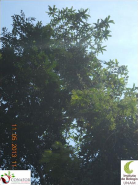 71892_S4_ARC_20130510_015_002.jpg.jpg