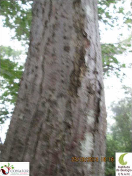61506_S1_CRT_20131023_002.jpg.jpg