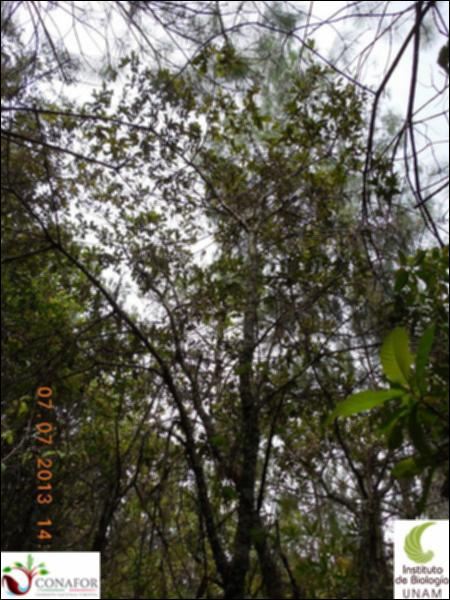 74338_S3_ARC_20130707_051_002.jpg.jpg