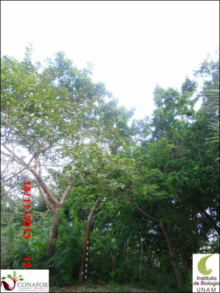 51148_S4_ARC_20131118_001_001.jpg.jpg