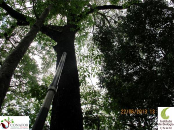 77687_S1_ARC_20130621_002_001.jpg.jpg