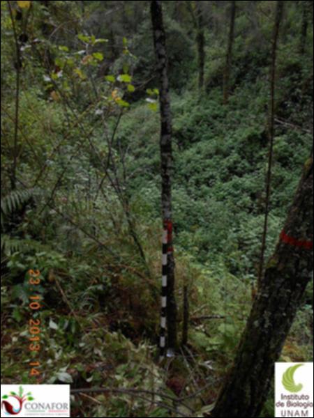 63094_S1_ARC_20131023_003_001.jpg.jpg