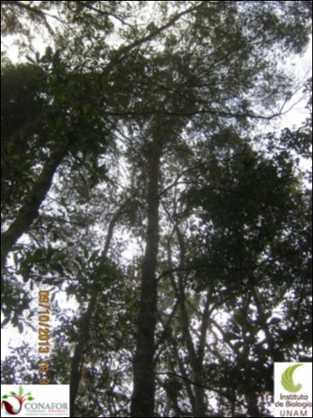 65209_S1_ARC_20131008_006_002.jpg.jpg