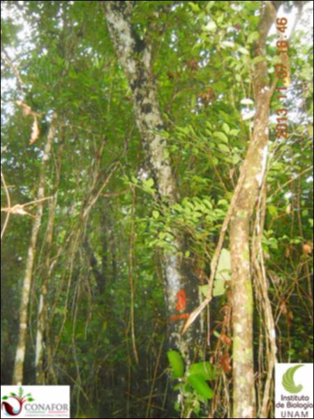 51695_S4_ARC_20131107_008_001.jpg.jpg