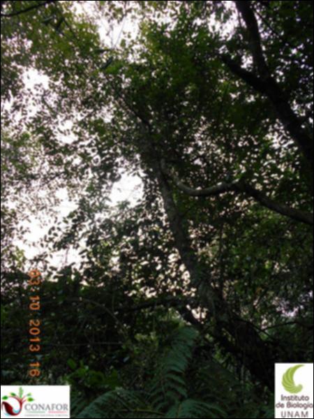 58111_S1_ARC_20131003_017_002.jpg.jpg