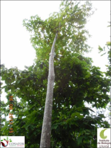 77350_S4_ARC_20130816_010_001.jpg.jpg