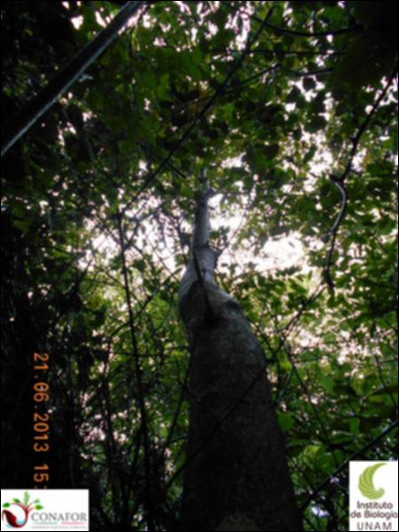 77370_S1_ARC_20130621_021_002.jpg.jpg