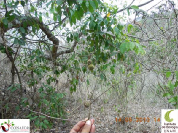 73558_S3_HJ2_20130514_009_001.jpg.jpg