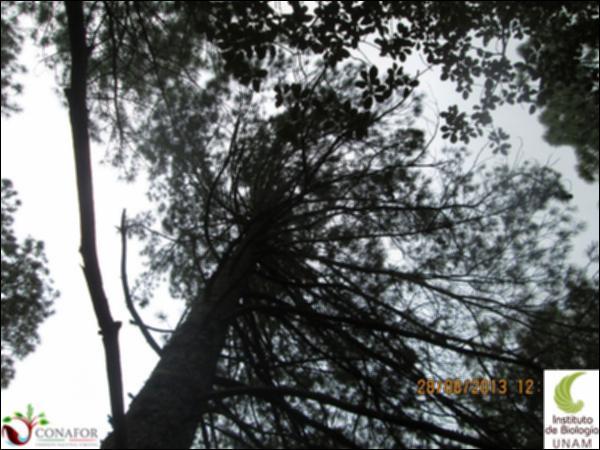 21326_S1_HJ2_20130828_014.jpg.jpg