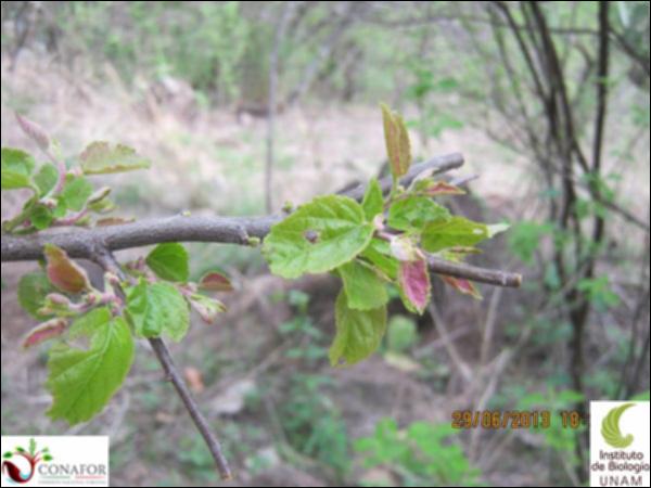 51493_S1_HJ1_20130629_009.jpg.jpg