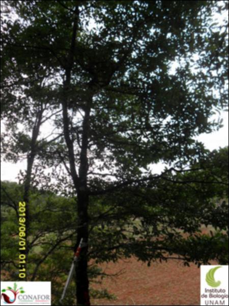 75057_S3_ARC_20130601_006_001.jpg.jpg