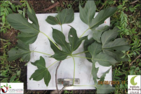 65792_S1_HJ1_20130924_006_001.jpg.jpg