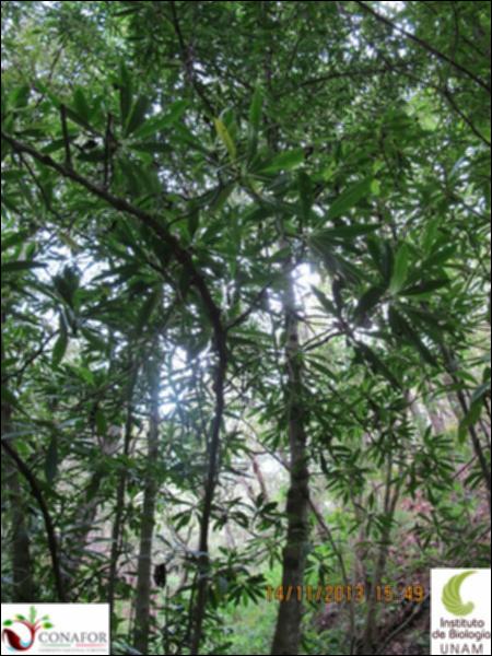 72689_S4_ARC_20131114_002_002.jpg.jpg