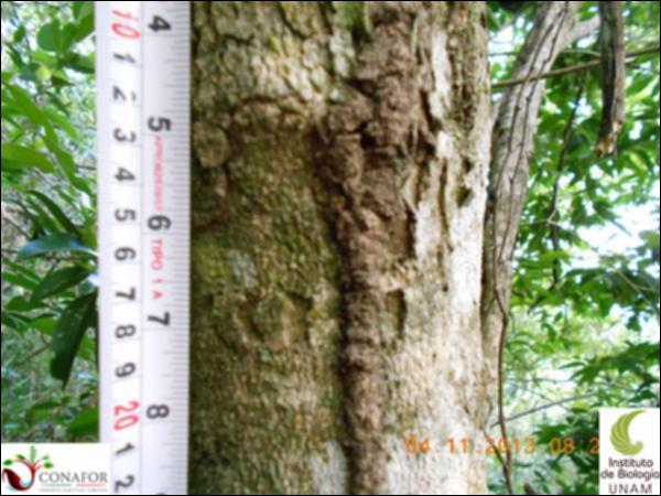 39792_S1_CRT_20131103_001.jpg.jpg