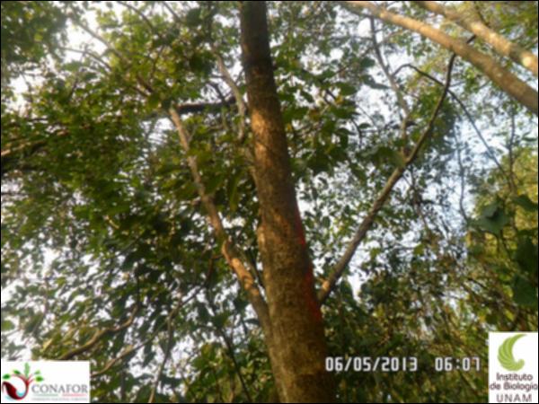 73603_S4_ARC_20130506_007_001.jpg.jpg