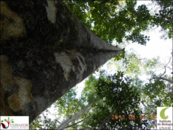 57662_S1_ARC_20130816_003_001.jpg.jpg