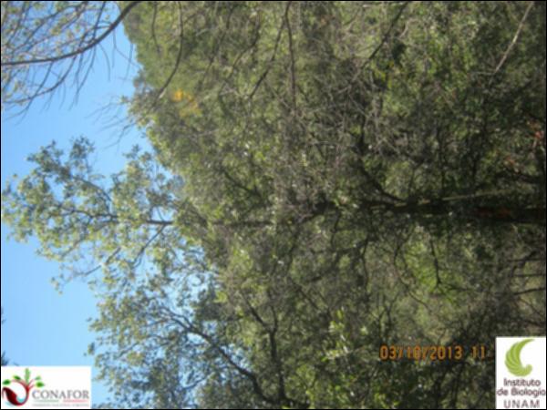 36060_S1_ARC_20131002_006.jpg.jpg