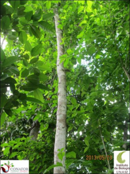 64835_S1_ARC_20130523_014_001.jpg.jpg