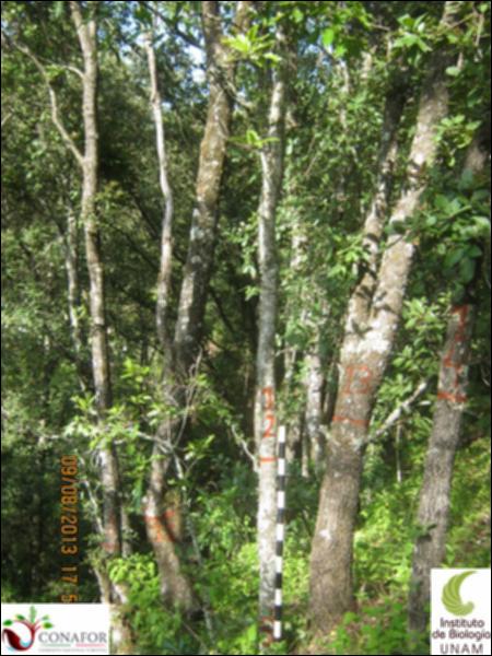 73946_S4_ARC_20130809_010_001.jpg.jpg