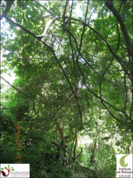 62026_S1_ARC_20131018_002.jpg.jpg