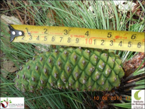 72022_S2_FRT_20130810_005_001.jpg.jpg