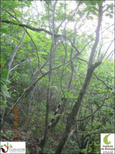 76294_S1_ARC_20130620_009_001.jpg.jpg