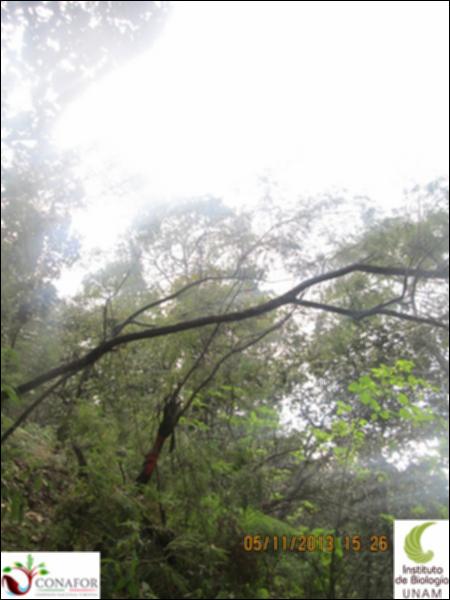 56973_S1_ARC_20131105_017.jpg.jpg