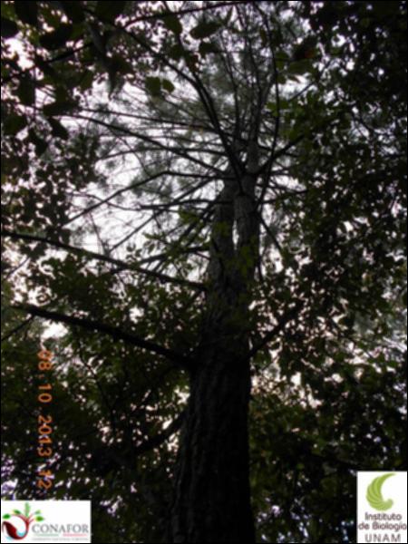 58618_S2_ARC_20131008_005_002.jpg.jpg