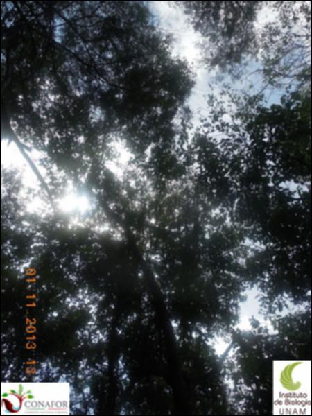 68540_S1_ARC_20131101_004_002.jpg.jpg