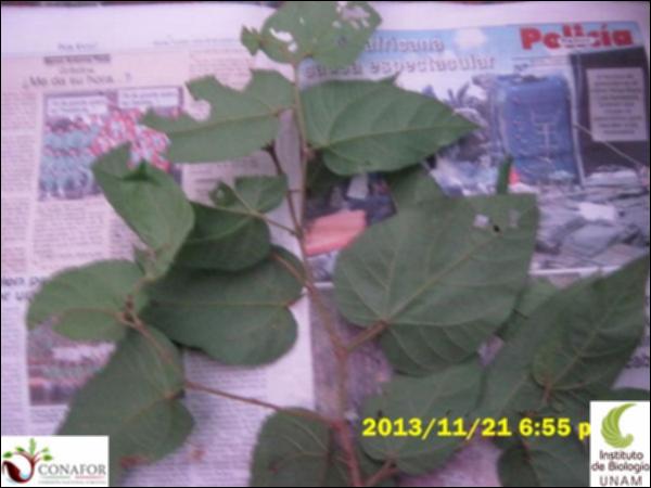53087_S1_HJ2_20131120_040_001.jpg.jpg