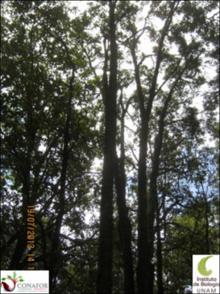 74753_S1_ARC_20130718_030_002.jpg.jpg
