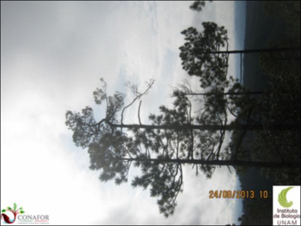 37356_S2_ARC_20130824_003.jpg.jpg
