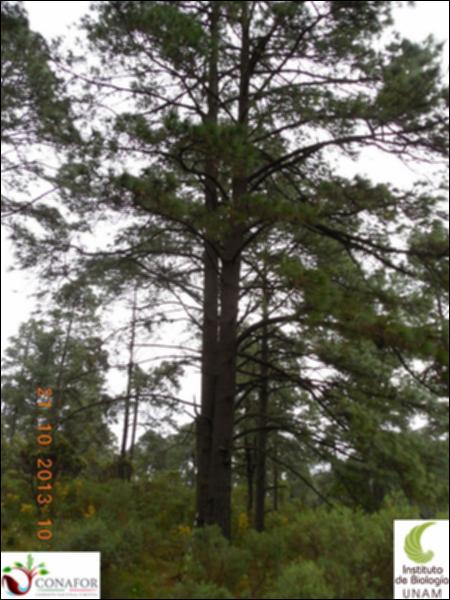 59580_S4_ARC_20131021_001_001.jpg.jpg