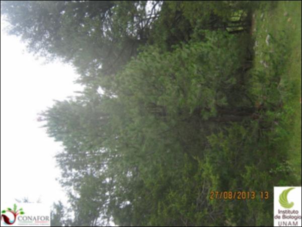 36706_S1_ARC_20130827_001.jpg.jpg