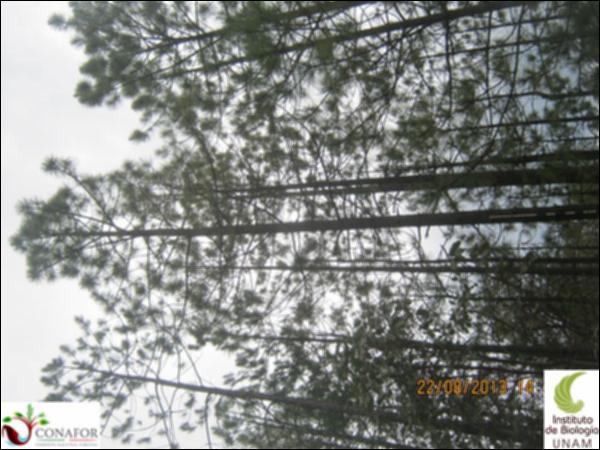 38002_S1_ARC_20130822_019.jpg.jpg