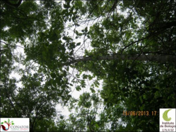 49574_S4_ARC_20130615_041_001.jpg.jpg