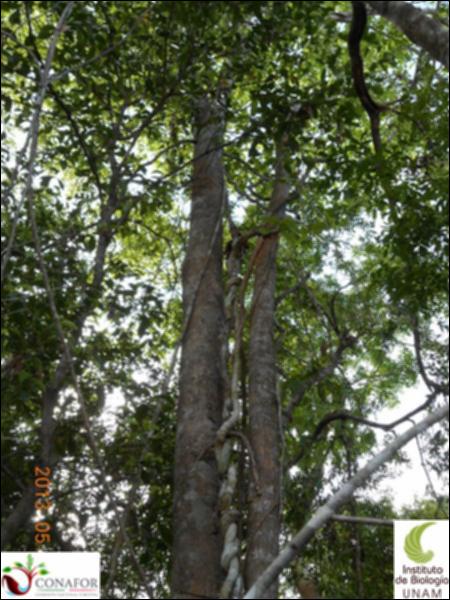 65407_S2_ARC_20130526_047_001.jpg.jpg