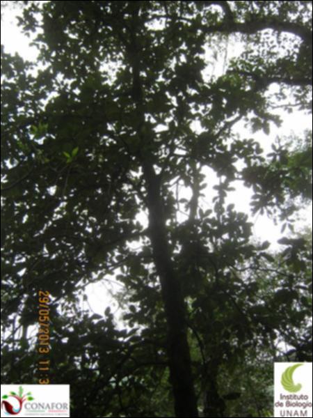 64985_S1_ARC_20130528_037_002.jpg.jpg