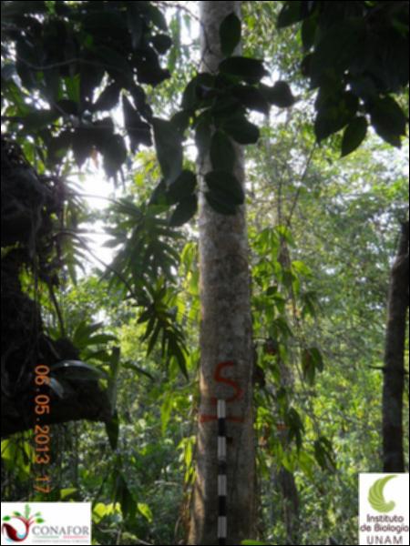 72525_S1_ARC_20130506_005_001.jpg.jpg