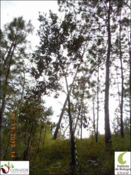 72415_S3_ARC_20131128_010_001.jpg.jpg