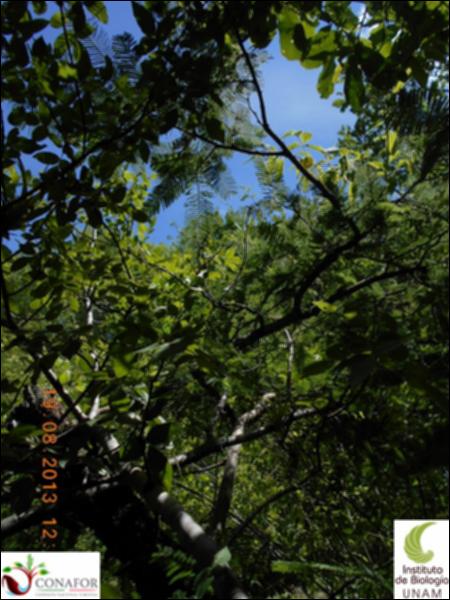 70944_S1_ARC_20130819_005_002.jpg.jpg